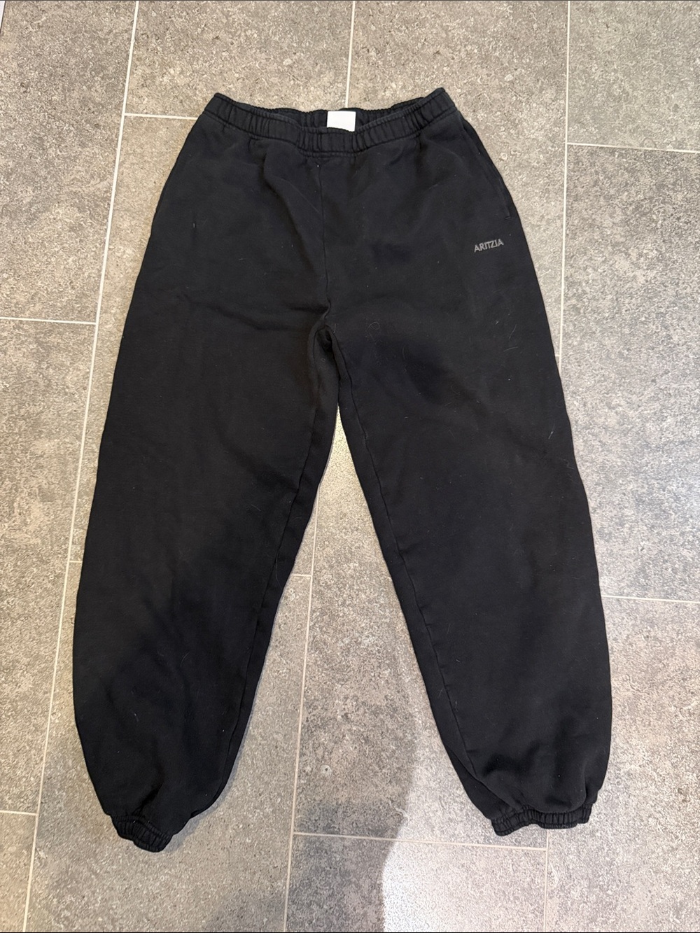 Aritzia Sweat fleece joggers